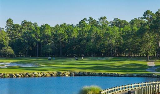 golfcourse