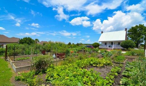 community-gardens