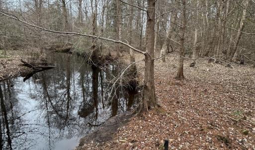 #1 Cypress Bottom-Creek