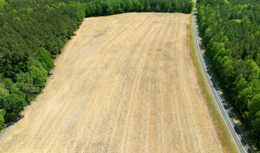 DJI_0981