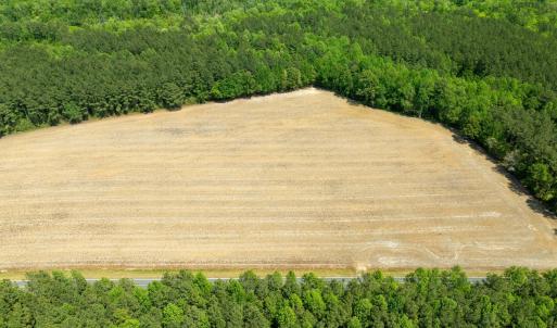 DJI_0961