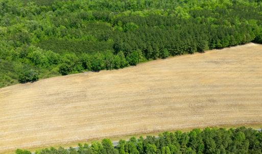 DJI_0957