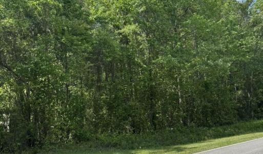 F76C280E-355A-4FAE-9321-4B1891A57AA9_1_1