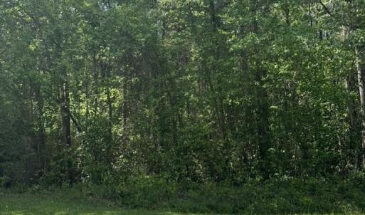 29AABF5A-2F4D-4A49-98D3-19097F5733B1_1_1