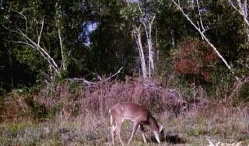 ME1e1266160becddcc23abe3a377a508b0