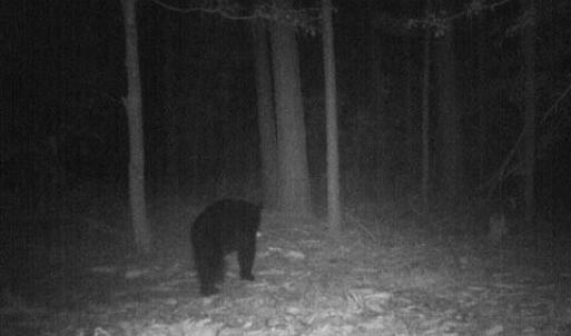 ME81b45fe0867cd525ddeea54da8083774