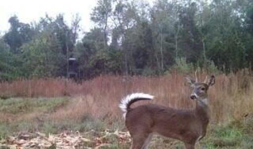 MEe3c0cd5e49605b9641c56256d6c201a8