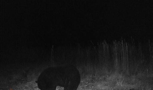 MEdfb0d91a9269386affe0d5e09d3bcf65