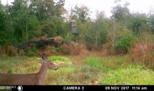 ME8c1d77264d3876f8efca055e2b992b74