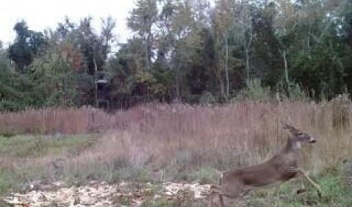 ME68886e8e4d61b1c63738efe30c286cab