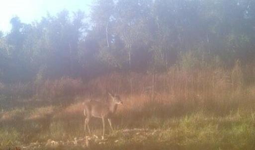 MEd800046d3d0603566b50375bed7d13fd