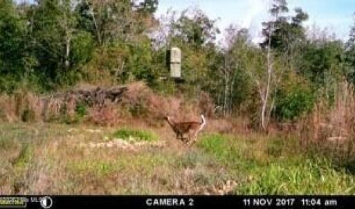 MEb15a81582085fcb79375c796444d4ea6