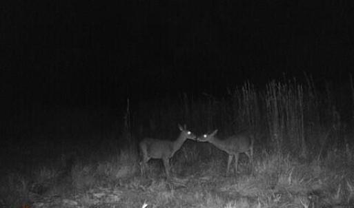 ME459c7eb841b86173b5c7a1c86754b98a