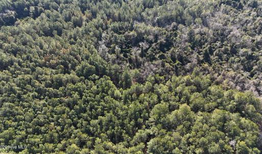 DJI_20260210095419_0554_D