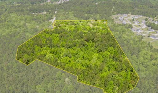 dji_20260417120312_0037_d-hdr-edit