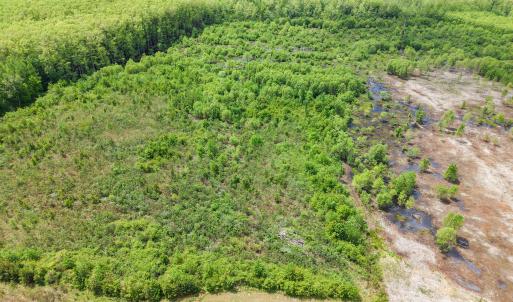 DJI_20260420125553_0477_Dedit