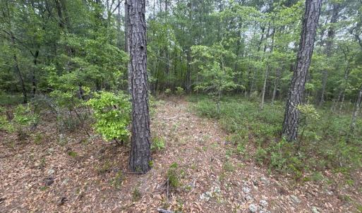 image_cropper_71264EC2-6315-42FB-AE77-7B