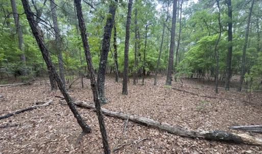 image_cropper_638DDDA7-C095-46D1-AFBC-65