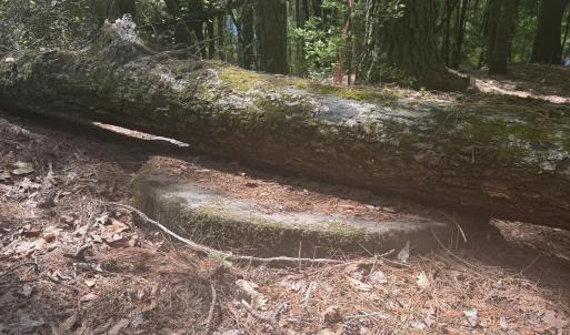Rare stone found