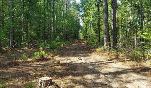 20260420_cleared roads