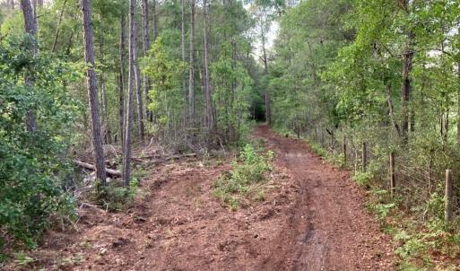 20260420 cleared path