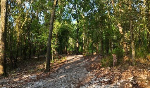 52. Riverfront Access Paths