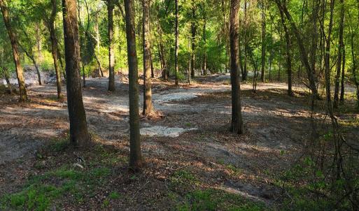 51. Riverfront Access Paths