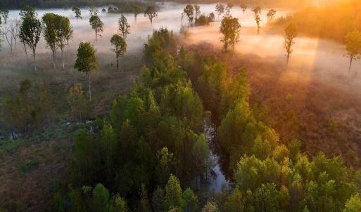 58. Southwestern Wetlands Area