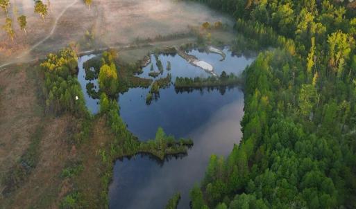 12. white crane over ponds 2.)