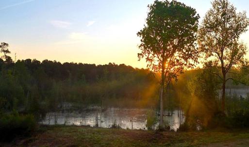 6. Wetlands Area Near Entrance