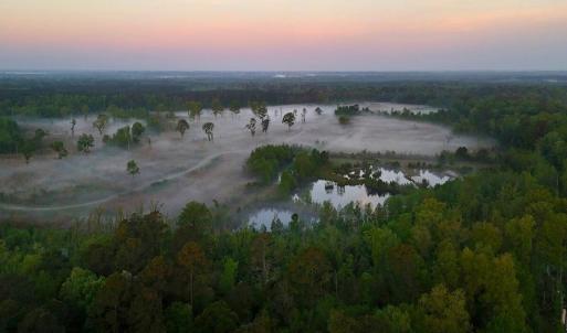 14. Ponds Area