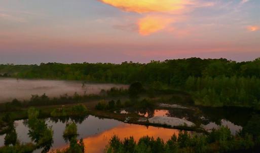 2. Ponds Area