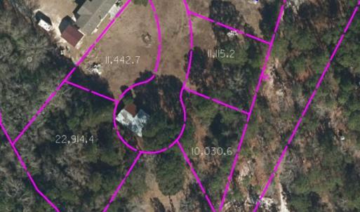 preliminary survey pic