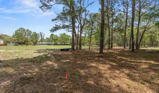 oldferryconnectionlot - 2