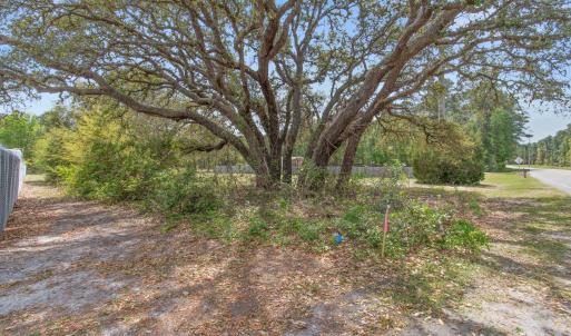 oldferryconnectionlot - 6