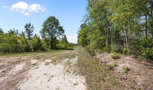 11-web-or-mls-IMG_7019