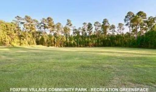 Park Recreation Greenspace