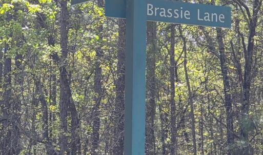 Brassie Lane Sigage