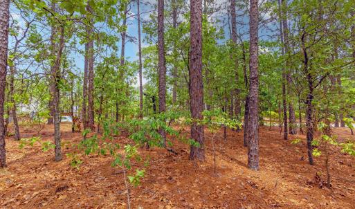109 Longleaf Dr