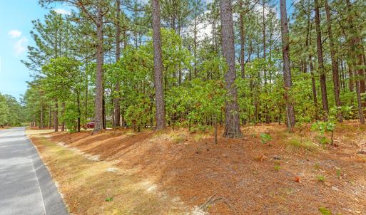 109 Longleaf Dr 4