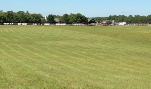 pasture