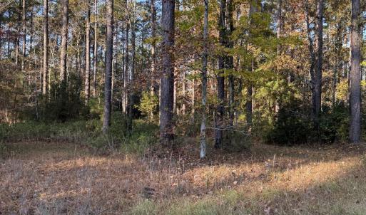 Side of property