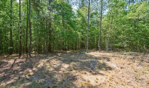 01-1_510 Carys Ln., West End, NC 27376_L