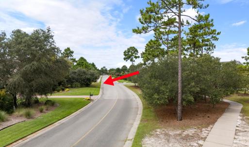 3258MossHammockWynd-106