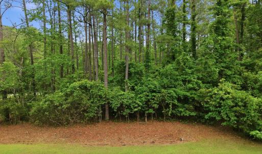2-web-or-mls-DJI_20260501095214_0018_D