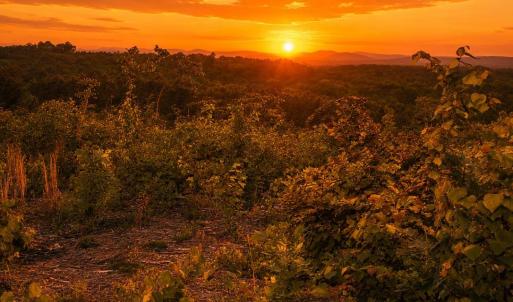 sunset skeen view
