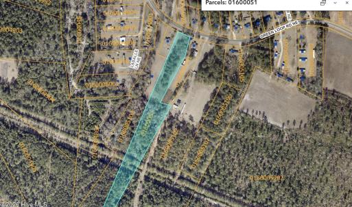 AERIAL GIS VIEW