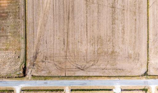 DJI_20260122111036_0060_D