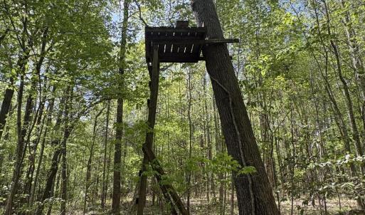 IMG_2435