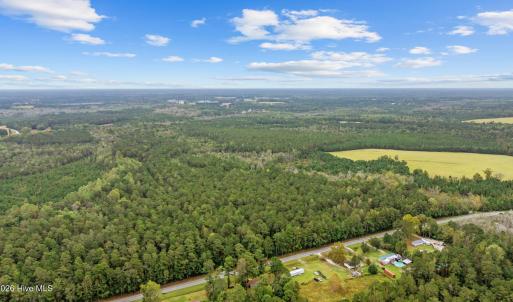 Photo #4 of 50ac Near 22984 Peacock R, Tabor City, NC 50.0 acres